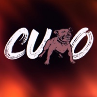 TF IM LOOKIN LIKE - Single - MainMain