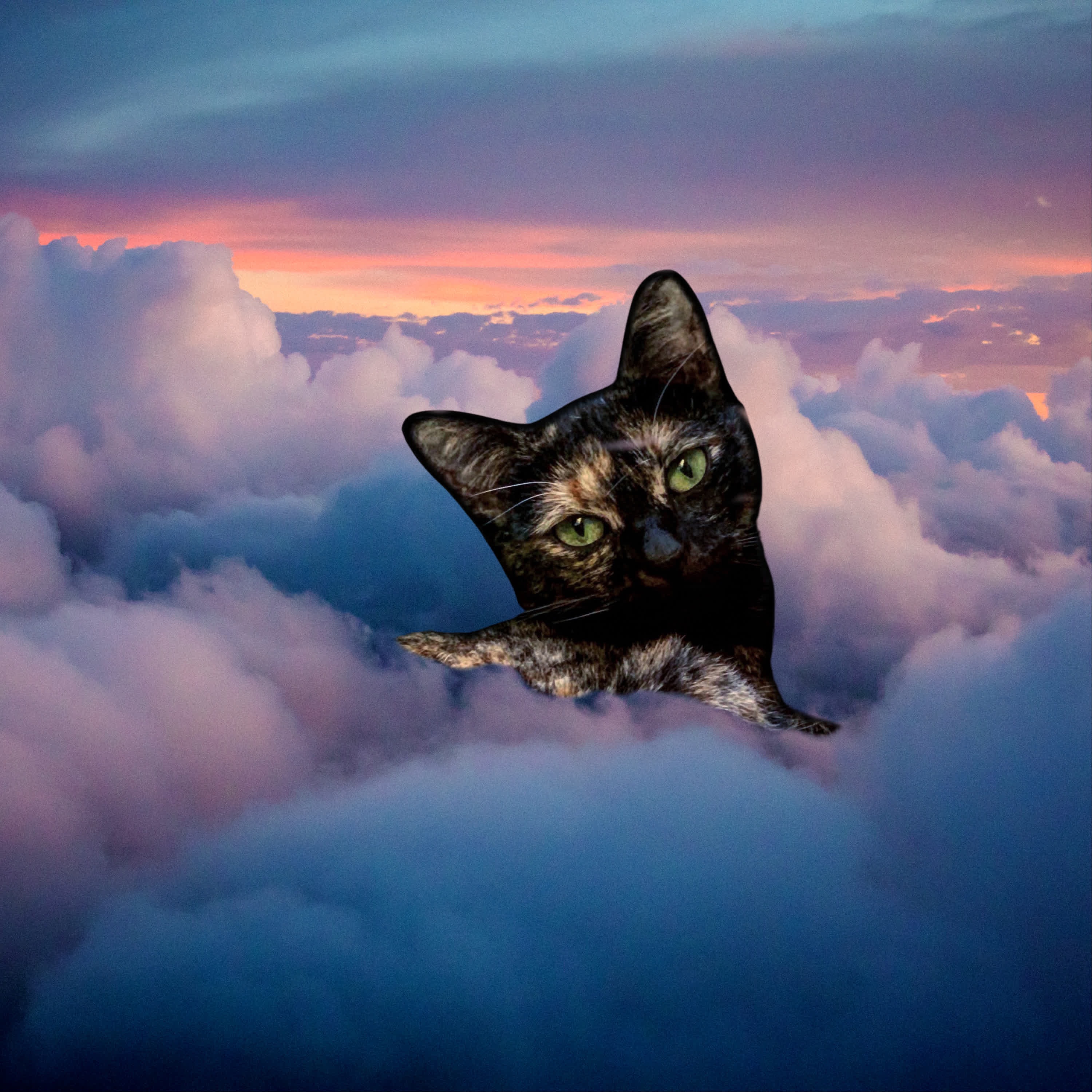 10 Minute Daily Meditations