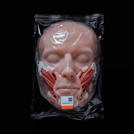 The Internet Ruined Love Robots Aren't Real