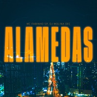 Alamedas - Single - DJ MOLINA OFC & MC Fabinho SP