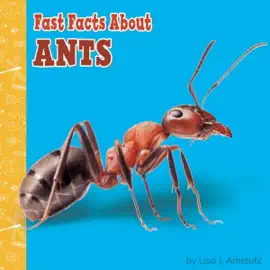 Fast Facts About Ants: Fast Facts About Bugs & Spiders (Unabridged)
