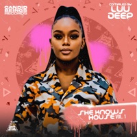 Groove in Dub - Single - Luu Deep, RamsTeque, SmagSoul & Slaga