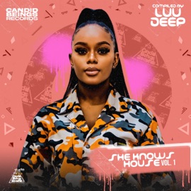 Groove in Dub Luu Deep, RamsTeque, SmagSoul & Slaga