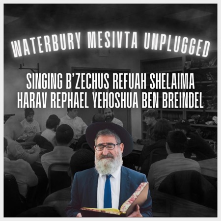 Waterbury Mesivta Unplugged artwork