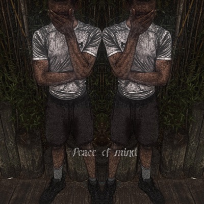Peace Of Mind (feat. lulwalkdown) - Single