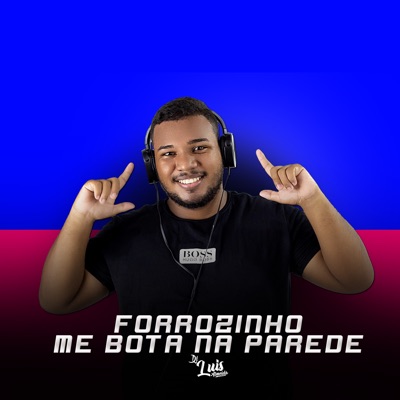 Forrozinho Me Bota na Parede - Single