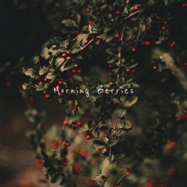 Morning Berries Hazue