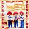 Banda Sal da Terra - Pé de Serra
