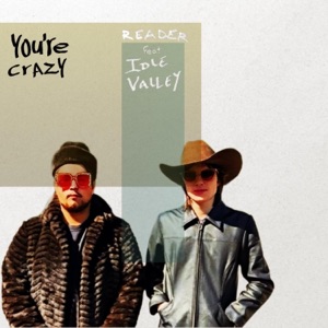 You're Crazy (feat. Idle Valley) - Single