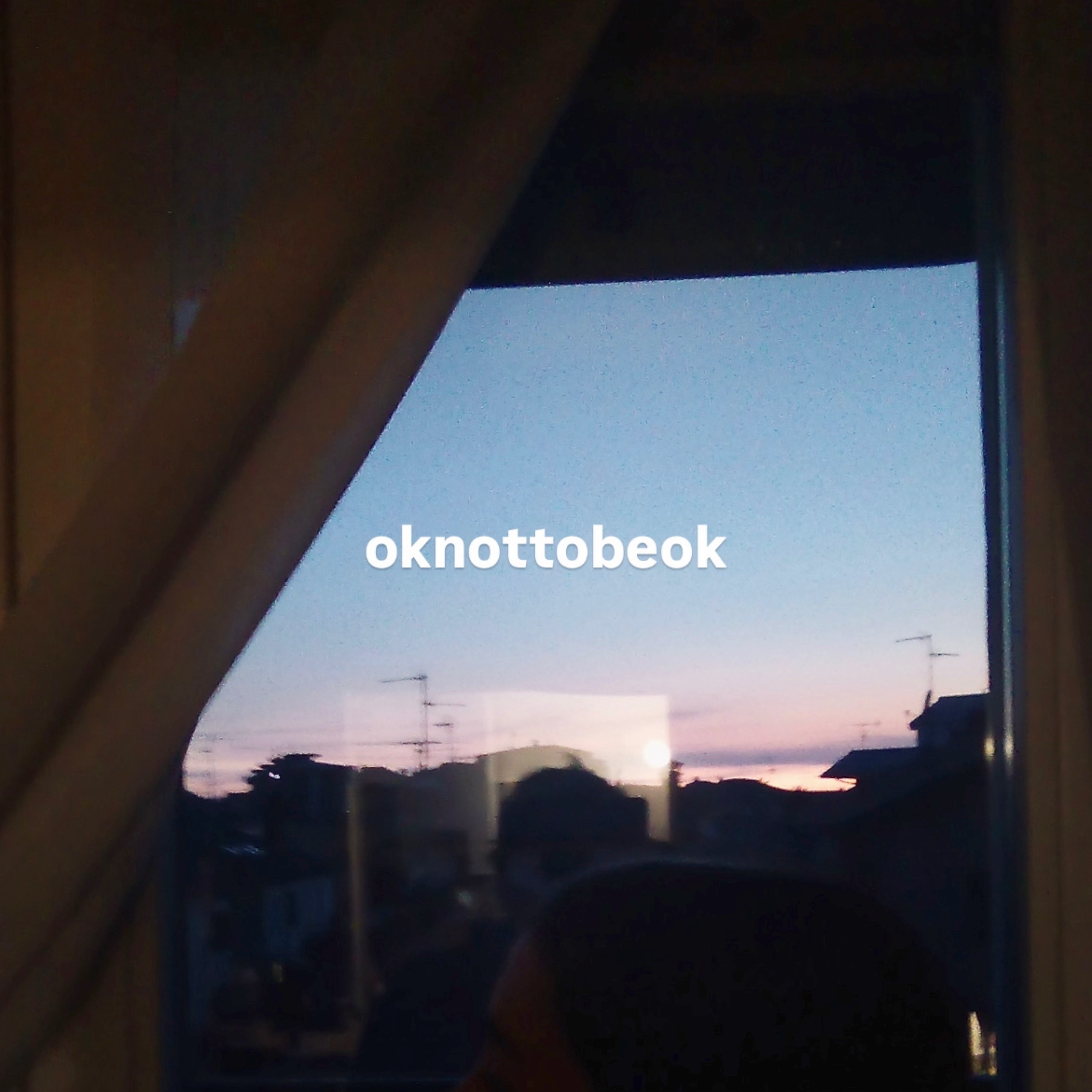 oknottobeok - Single