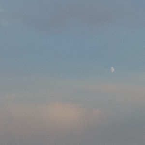 beneath a quiet sky