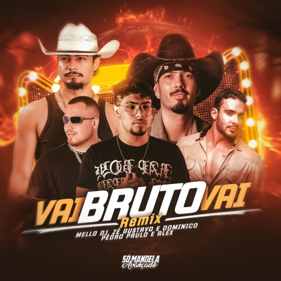 Vai Bruto Vai (Remix) [feat. Pedro Paulo & Alex] - Single
