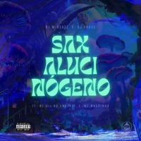 SAX ALUCINÓGENO (feat. Dj Darge) - Single - Dj W-Beatz, Mc Magrinho & MC Gil Do Andaraí