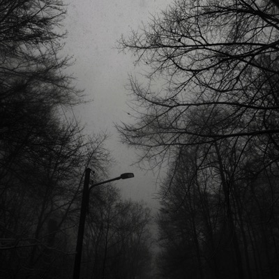 Insomnia (feat. miilia) - Single