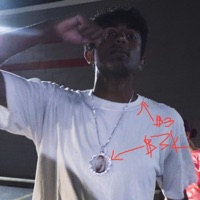 Shelby Township Freestyle - Single - Ankith Woods