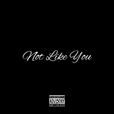 Not Like You - Single