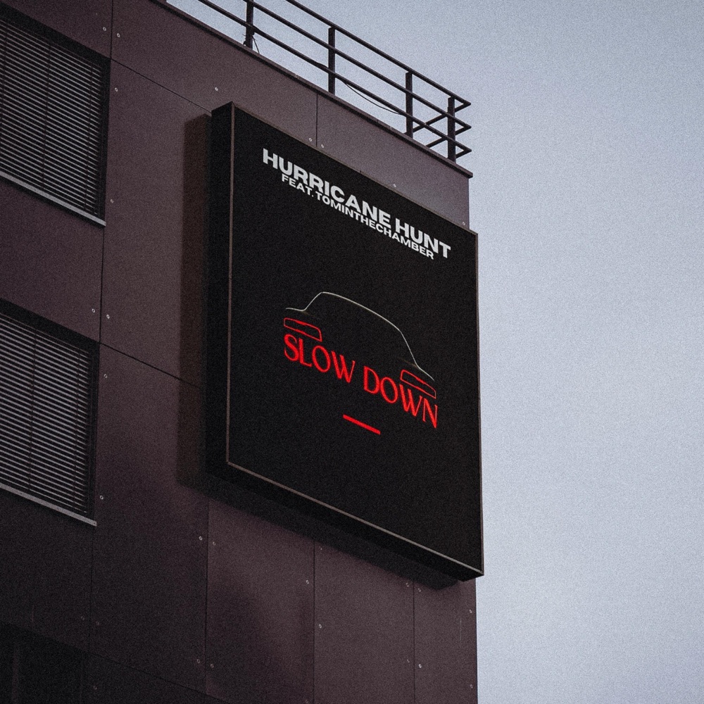 Обложка альбома «Slow down (feat. Tominthechamber) - Single» — Hurricane Hunt
