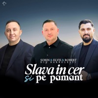 Slava in cer si pe pamant (feat. Robert Din Barbulesti & Sorin din Barbulesti) - Single - Elvis din Barbulesti