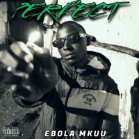 Perfect - Single - Ebola Mkuu