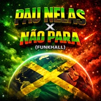 PAU NELAS X NÃO PARA FUNKHALL - Single - Diamante Negro, Ginis & MC Lan