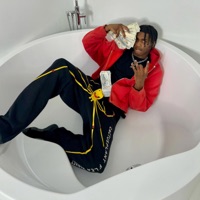 Fan - Single - Artii Jack