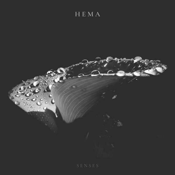 Senses - Single