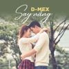 Say Nắng (feat. D Flow) - Single