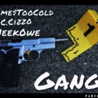 Gang (feat. Jame$toocold & NeekOwe) - Single - C.Cizzo