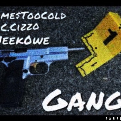 Gang (feat. Jame$toocold & NeekOwe) - Single