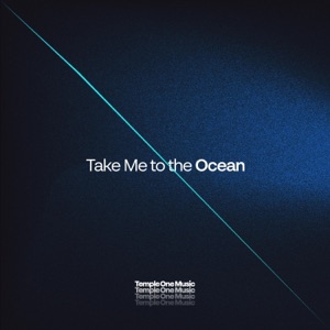 Take Me to the Ocean - Single