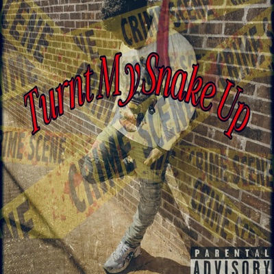 Turnt My Snake Up - Single