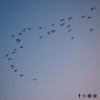 New Tomorrow - Single