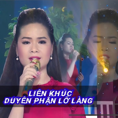 Liên Khúc Duyên Phận Lỡ Làng - Single