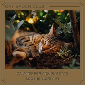Calming for Anxious Cats: Soothe Your Cat