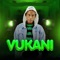 Party Animal - Vukani lyrics