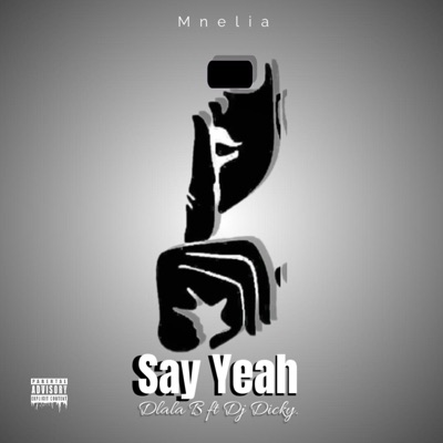 Say Yeah (feat. Dj Dicky) [GqomBootleg] - Single
