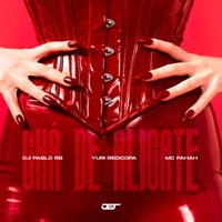 CHÁ DE ALICATE - Single - DJ Pablo RB, Yuri Redicopa & MC Fahah