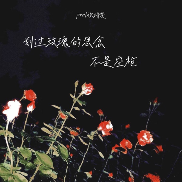 划过玫瑰的思念不是空枪 - Single
