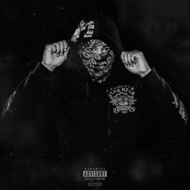 Walk Down Music (feat. HD Picasso & DG Hooda) AceMula