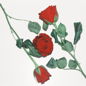 Varieties of Melancholy