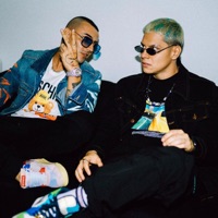 Nunca Pense - Single - Fainal & Shako