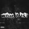 what it is (feat. TGYE) - Myxself lyrics