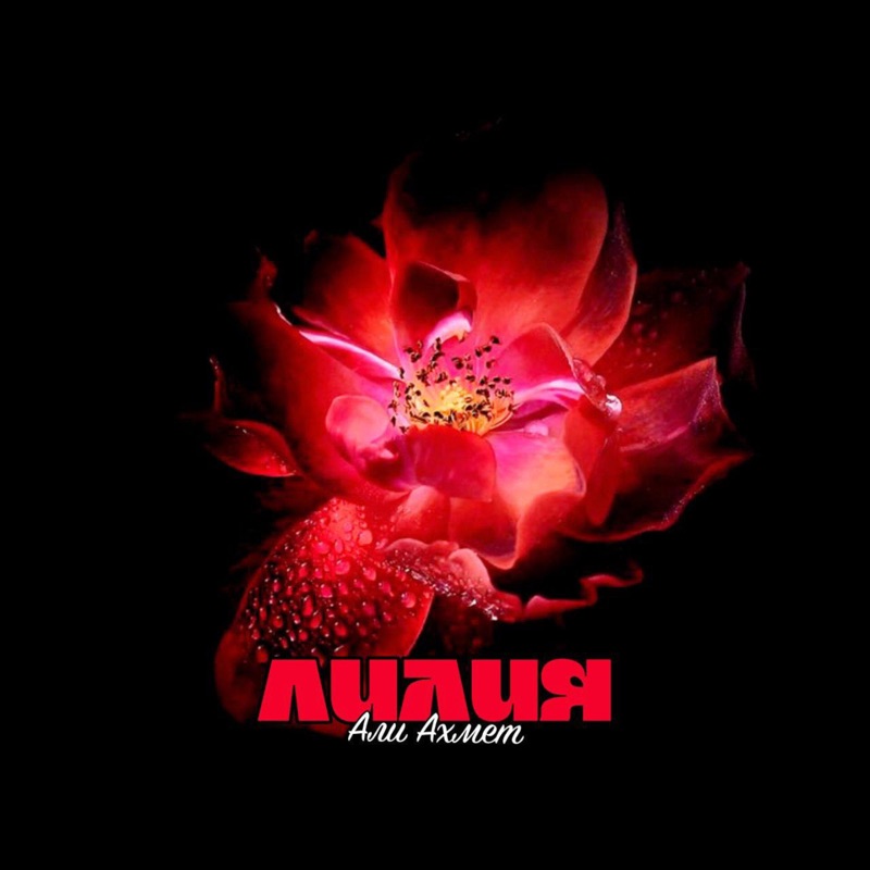 Жас Лилия үшін анальді жаза