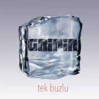 Tek Buzlu - gripin