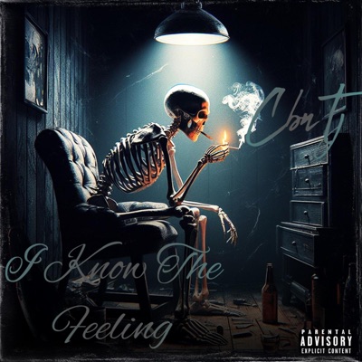 I Know The Feeling - Single