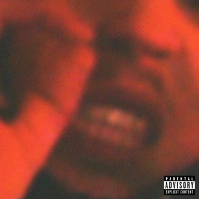 DU RORO SUR LES CANINES - Single