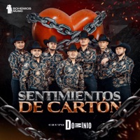 Sentimientos de Cartón - Single - Grupo Dominio