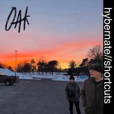 hybernate//shortcuts (demos) - Single