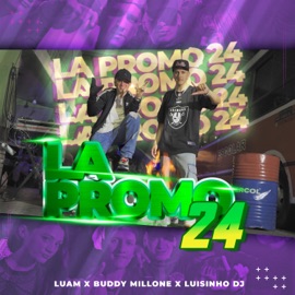La Promo 24 (feat. Buddy Millonee & LuisinhoDJ) Luam