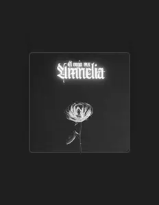 聆聽 El Vega Mx、觀看音樂影片、閱讀小傳、查看巡演日期等！